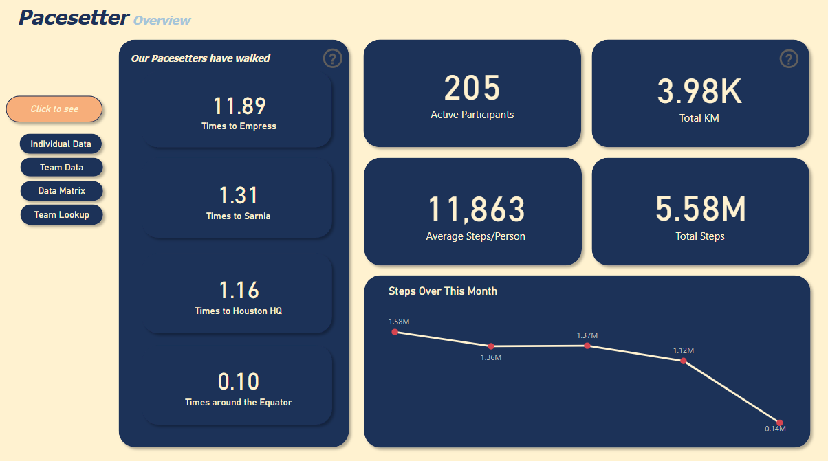 Power BI Dashboard Screenshot